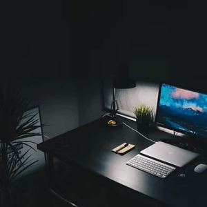Virus Check & Removal Service
